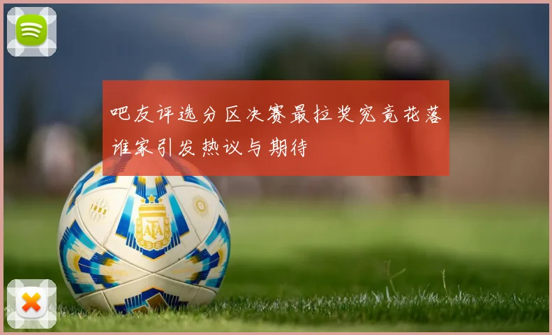 吧友评选分区决赛最拉奖究竟花落谁家引发热议与期待