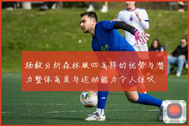 杨毅分析森林狼四高阵的优势与潜力整体高度与运动能力令人惊叹