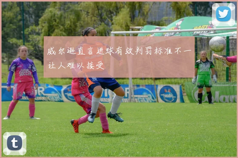 威尔逊直言进球有效判罚标准不一让人难以接受