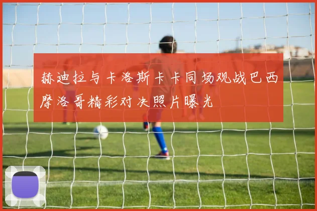 赫迪拉与卡洛斯卡卡同场观战巴西摩洛哥精彩对决照片曝光